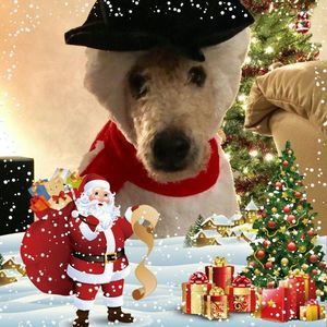 Meet your Posher, Brenda